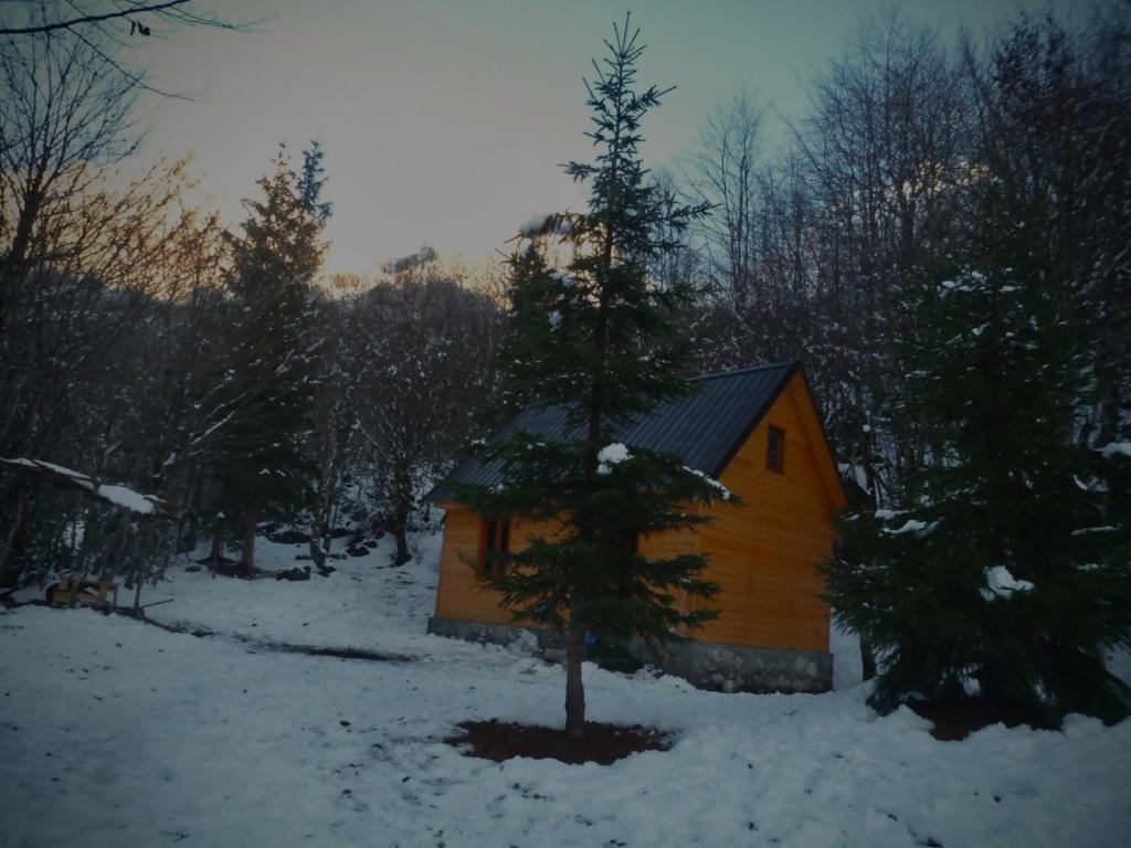 a wooden cabin with a tree in the snow at The Meridian in Valbonë