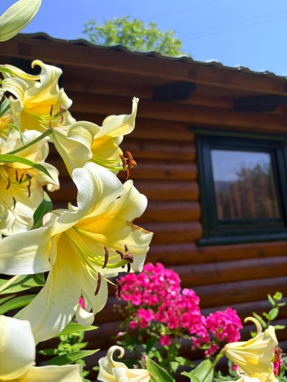 a group of flowers in front of a log cabin at EtnoPetra in Mojkovac