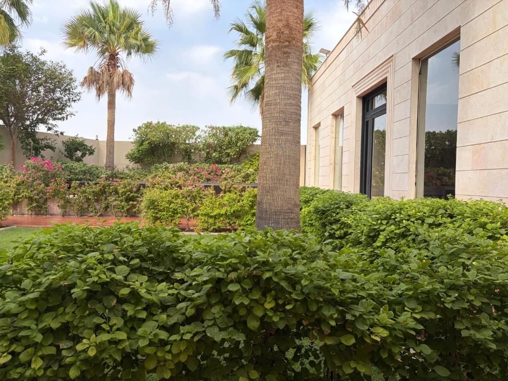a palm tree in front of a building with bushes at فيلا المنزل in Mecca