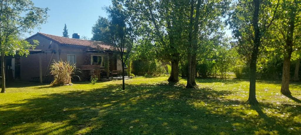 a house in the middle of a yard with trees at Cabañas Rio de Oro in Mina Clavero