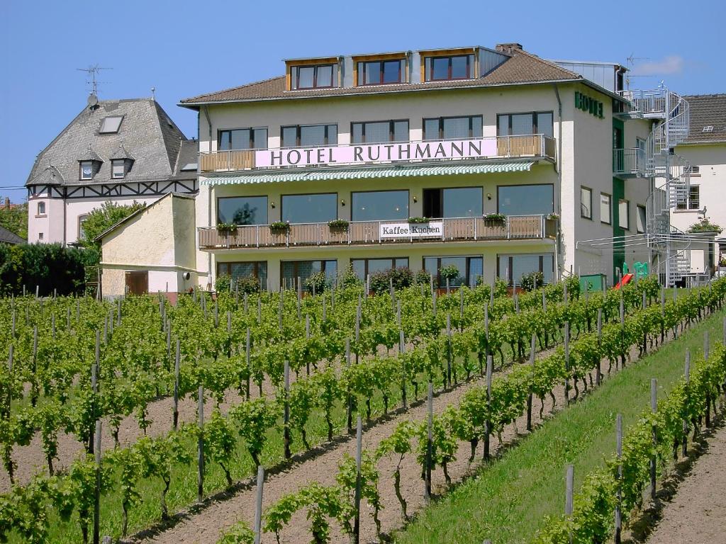 a building with a bunch of vines in front of it at RUTHMANN-Rheinblick GARNI in Oestrich-Winkel