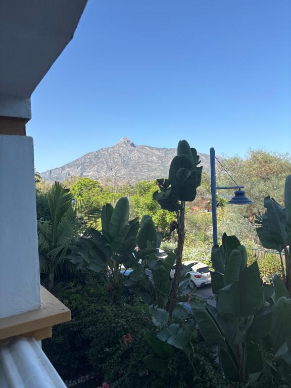 Apartamento Dama de Noche 5 pax y terraza en Marbella Puerto Banus