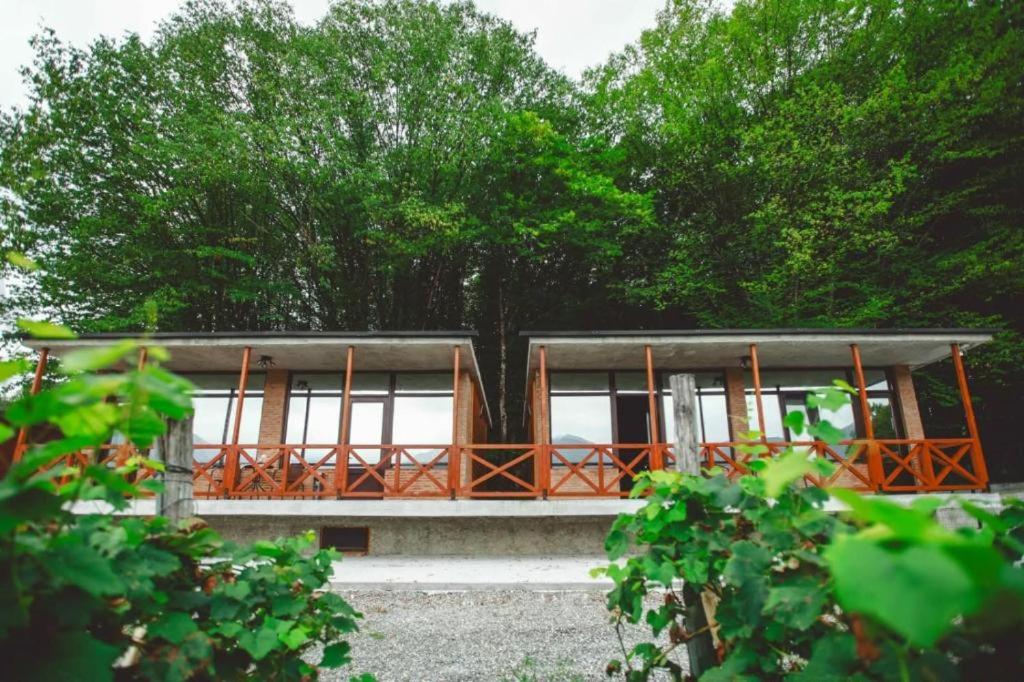 a house with a tree in front of it at Jvarisa cottages in Bugeuli