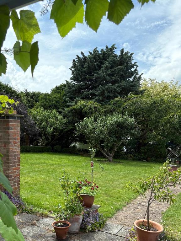 a garden with two potted plants on a lawn at River Garden View in Beccles