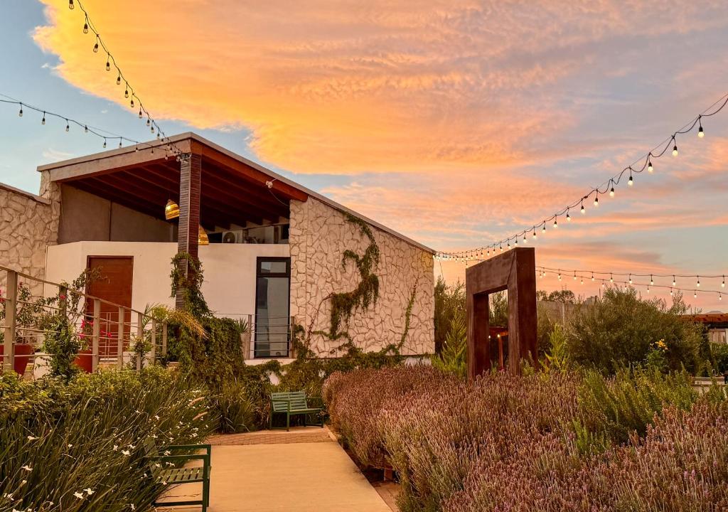 a building with a horse mural on the side of it at Valle Soléa in Valle de Guadalupe