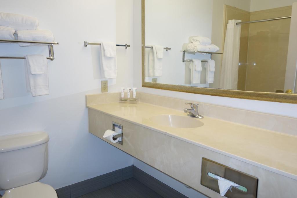 Country Inn & Suites by Radisson, Round Rock, TX - Suite King Con Idromassaggio - Non Fumatori