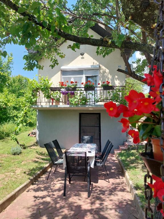 a patio with a table and chairs in front of a house at Oaza Slankamen in Slankamenački Vinogradi
