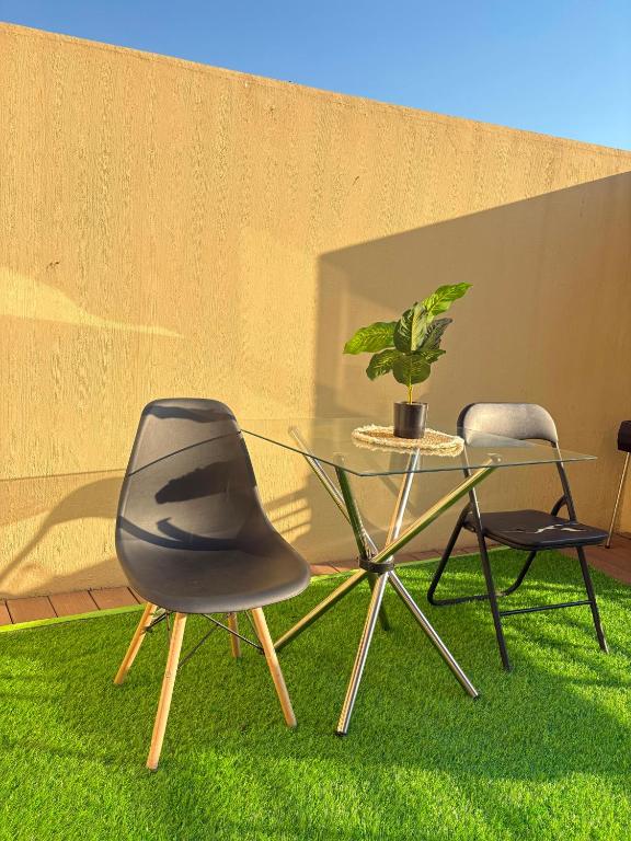 two chairs and a table and a potted plant at Mapungubwe apartment in Johannesburg