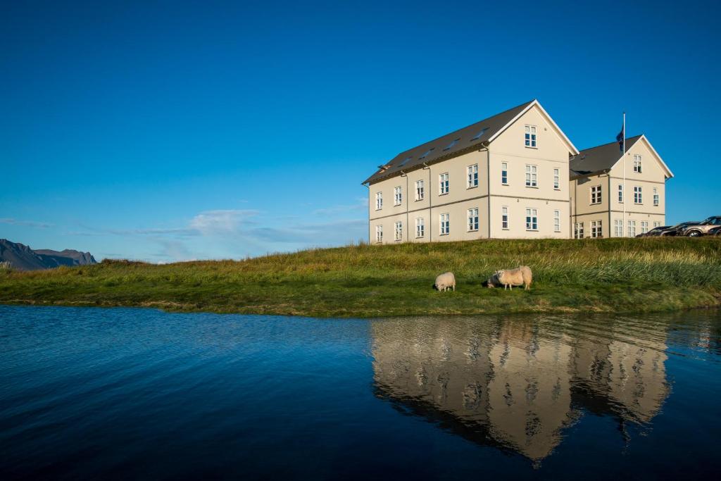 two animals grazing in front of a building next to a body of water at Hotel Búdir in Búðir
