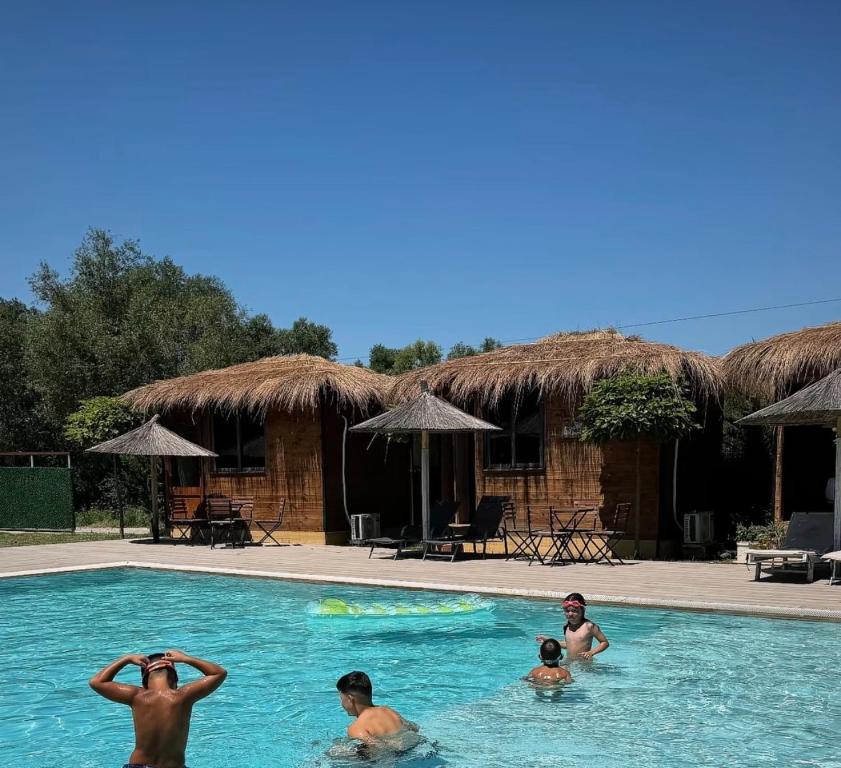 Windmill Shkodra Gesthouse Camping & Grill - Housity