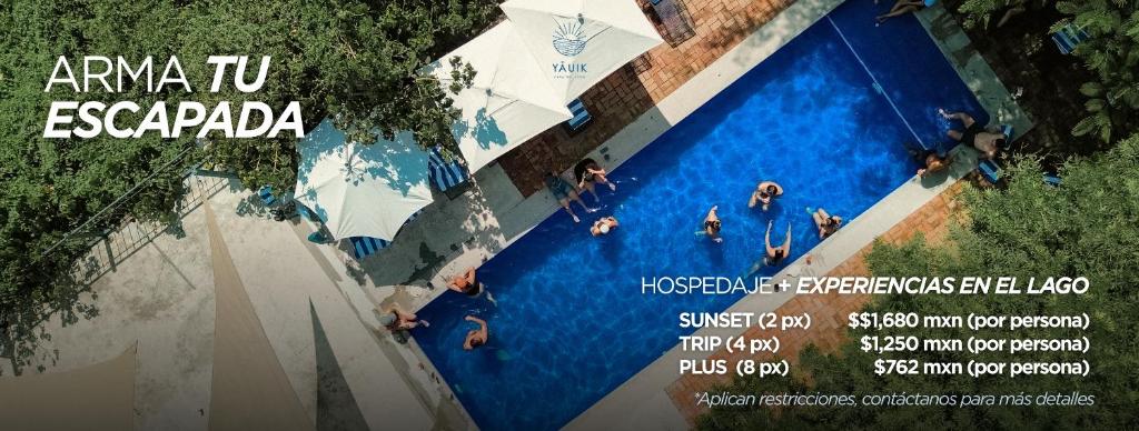 a group of people swimming in a swimming pool at Yauik in Tequesquitengo