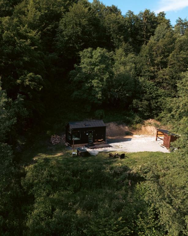 a group of animals standing in the grass near a forest at TogetherNest - Ash in Mătişeşti