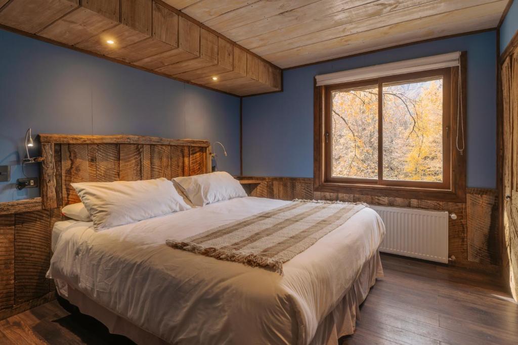 a bedroom with a large bed with blue walls and a window at VT Coffee & Lodge in Curarrehue