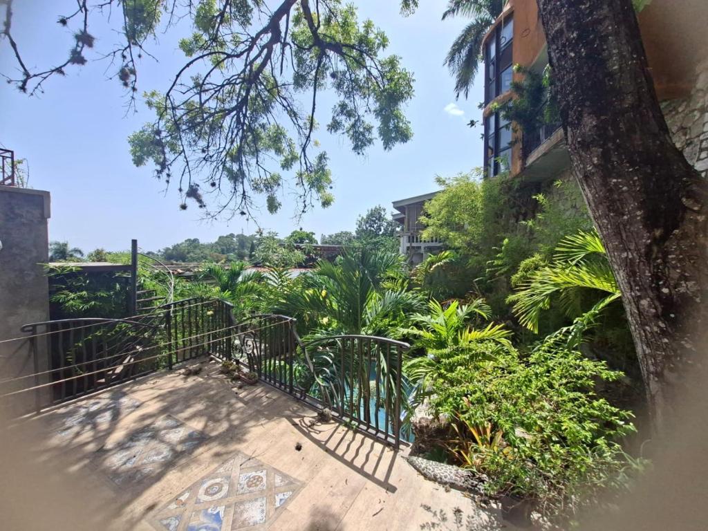 a balcony of a building with trees and plants at hebergement paradis Haiti in Petionville