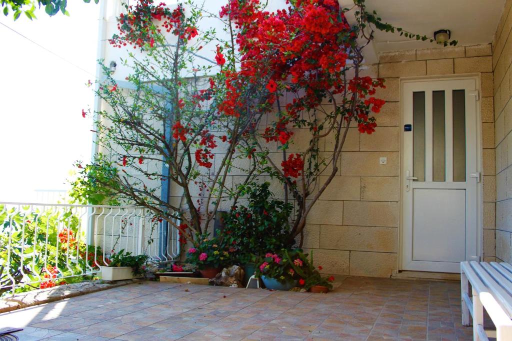 Apartments Sv.Jakov - 9