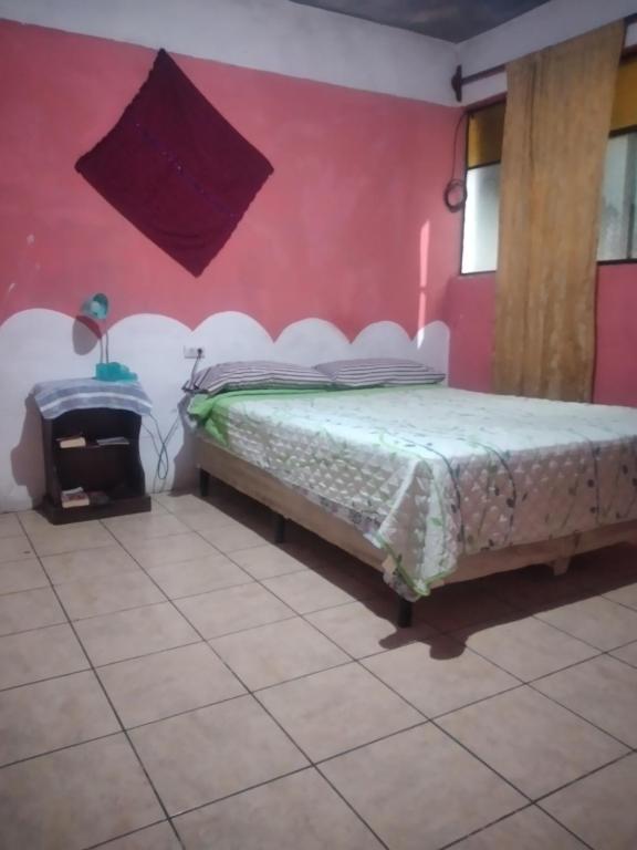 a bedroom with a bed in a red wall at House the Cats in Panajachel