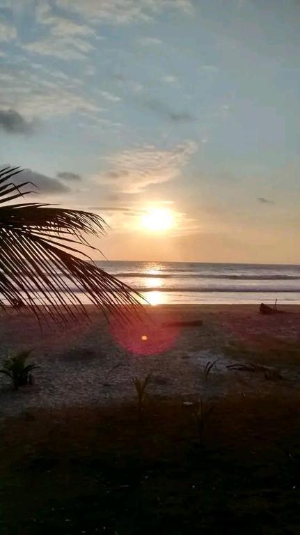 a sunset on the beach with a palm tree at Exclusivo Departamento playa in Same