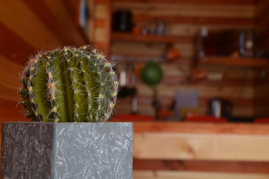 Fotografie z fotogalerie ubytování Algarrobo Lodge v destinaci Algarrobo