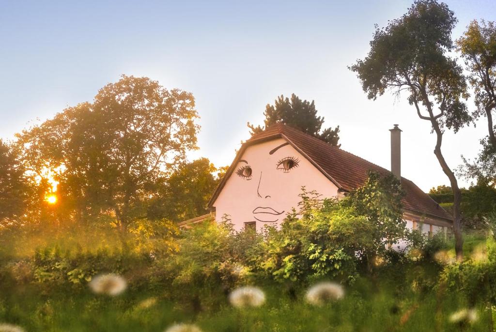 a house with a face painted on the side of it at Danube Dreamin' in Leiben