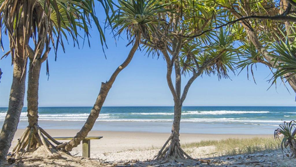 a beach with palm trees and the ocean at Whalesong in New Brighton