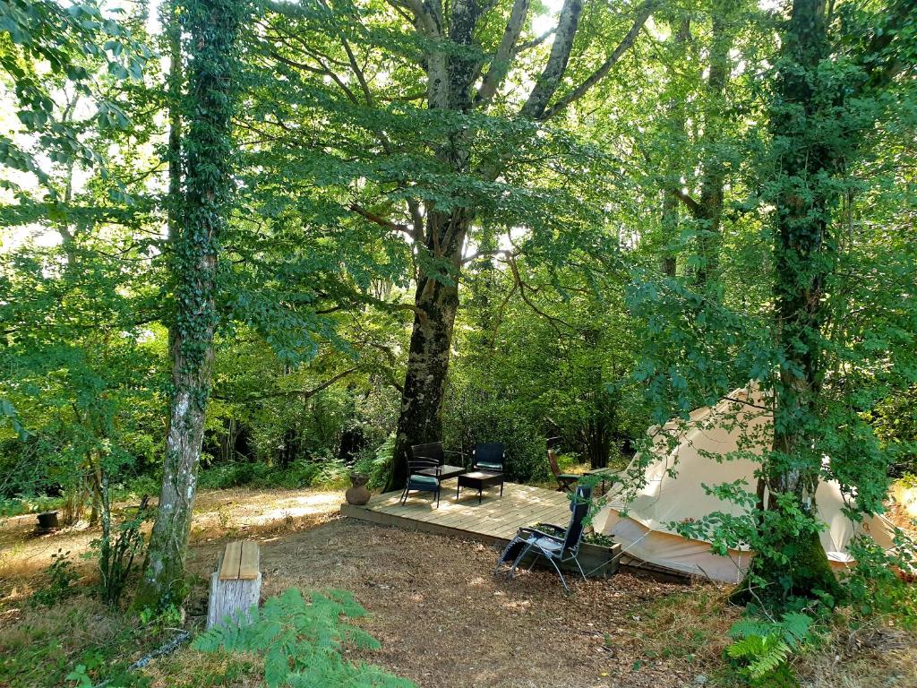 a campsite with a tent and chairs in the woods at Domaine du Fourtet in Arfons