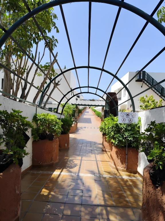 an arched hallway with potted plants in a greenhouse at Marys Place in Costa Del Silencio
