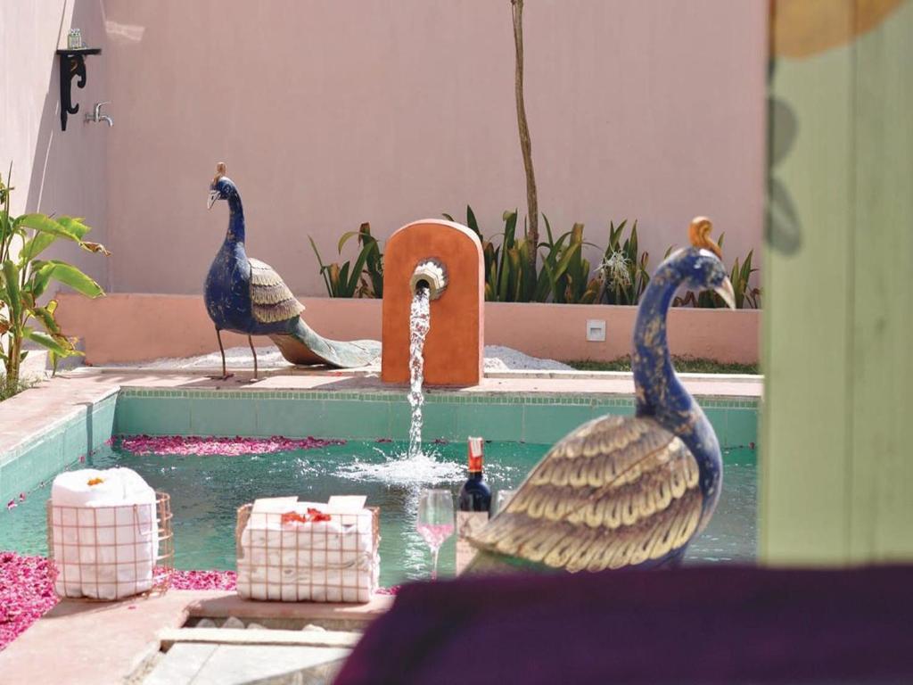 two birds standing in a pool with a fountain at DanCenter Parijat Villas & Suites Udaipur in Udaipur