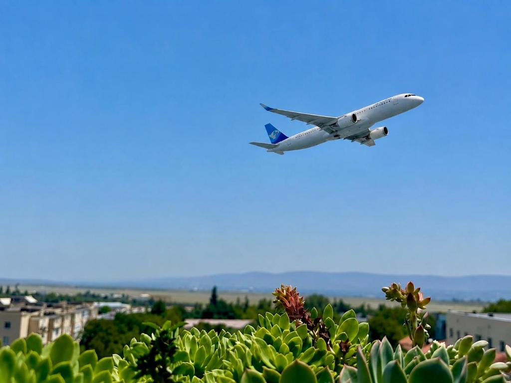 an airplane is flying in the sky over some plants at Airport Hotel Apartments in Tbilisi City