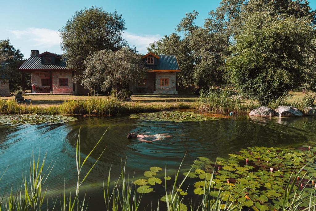 a pond in front of a house with a duck in it at Chão do Rio - Turismo de Aldeia - Serra da Estrela in Seia