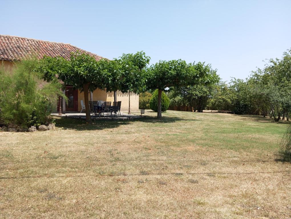 a yard with a house with a table and trees at Lahitte in Saint-Frajou