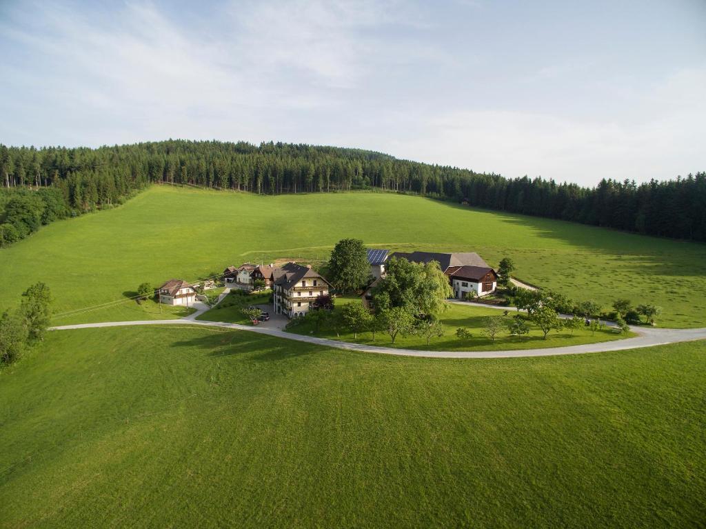 eine Luftansicht eines Hauses auf einem grünen Feld in der Unterkunft Bauernhof Hoenigshof in Fischbach