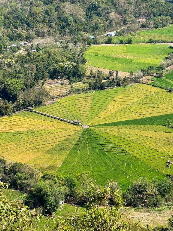 an aerial view of a field of green crops at Komachi House in Limbung