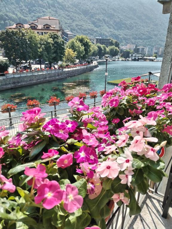 a bunch of flowers on a balcony overlooking a river at un balcone sul lago in Omegna
