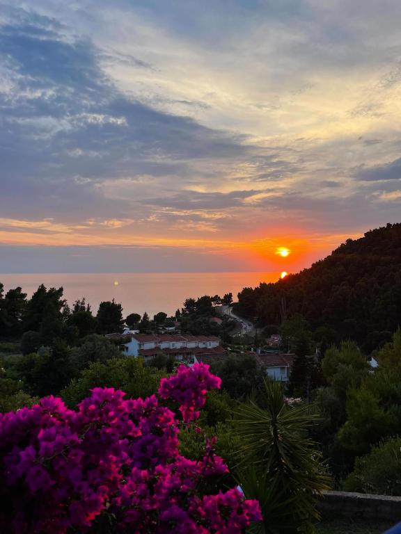 a sunset over a town with pink flowers at Seaview 180 in Skala Fourkas