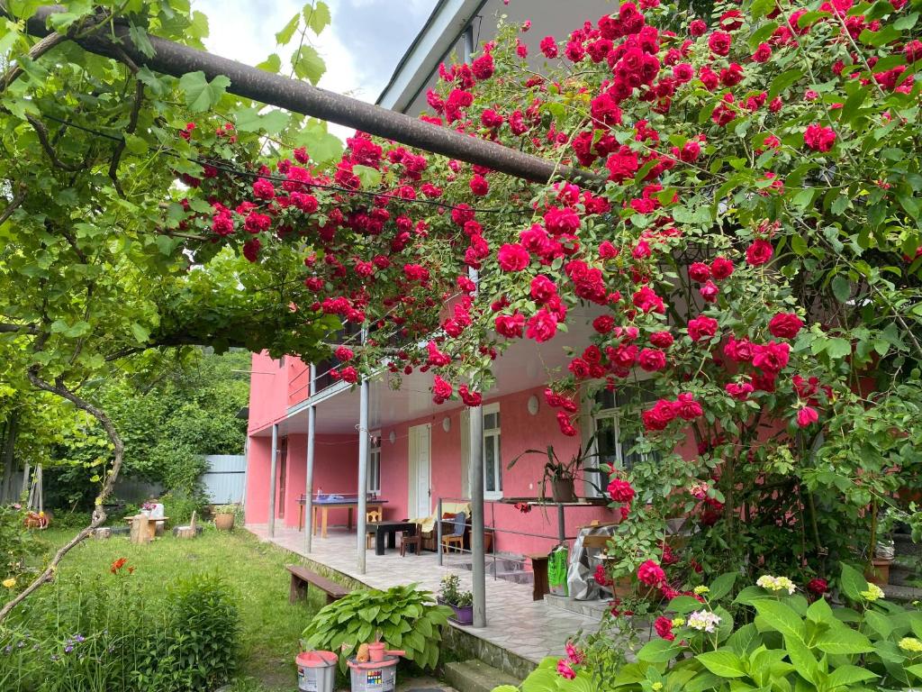 a pink house with red flowers on it at Guest House Mukha in Akhaldaba