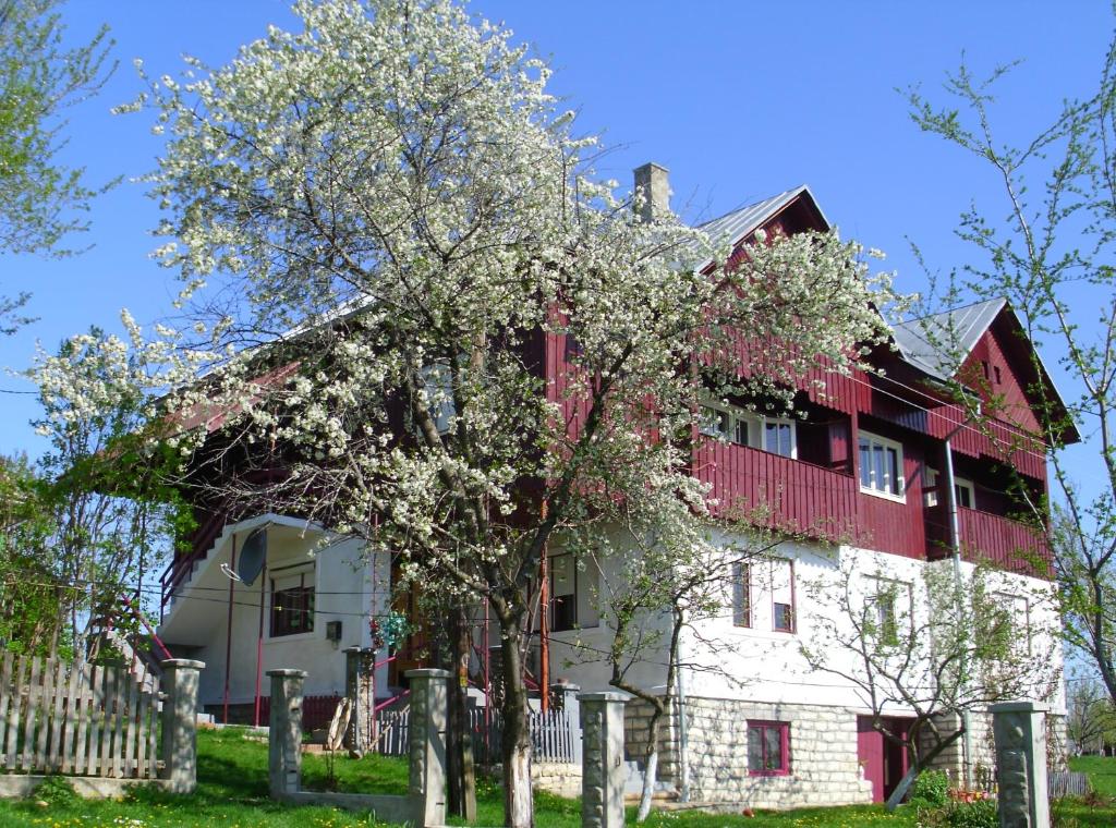 a large house with a tree in front of it at Cabana Codrii Apusenilor - Matis in Râșca