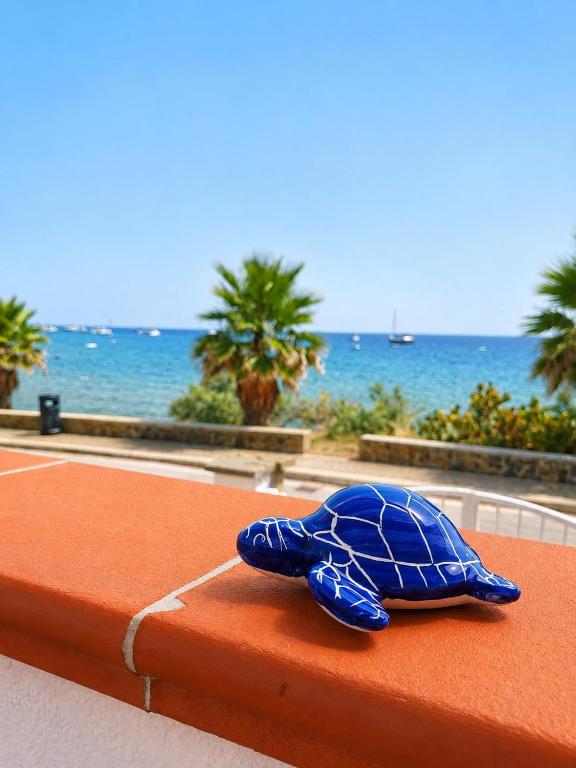 a blue turtle toy sitting on top of a table at Rifugio Caretta in Montecorice