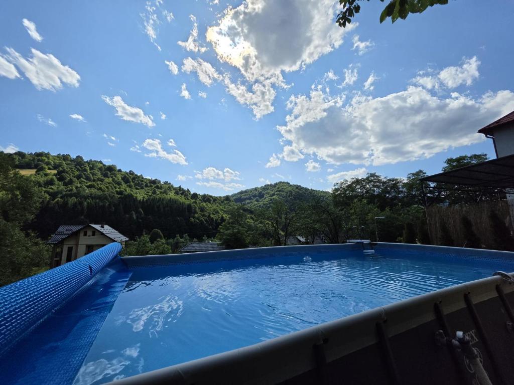 a swimming pool with a view of the mountains at Pensiunea Daniela in Moisei
