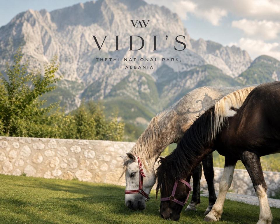 two horses grazing in a field with mountains in the background at Vidis Chalet Boutique Hotel in Theth