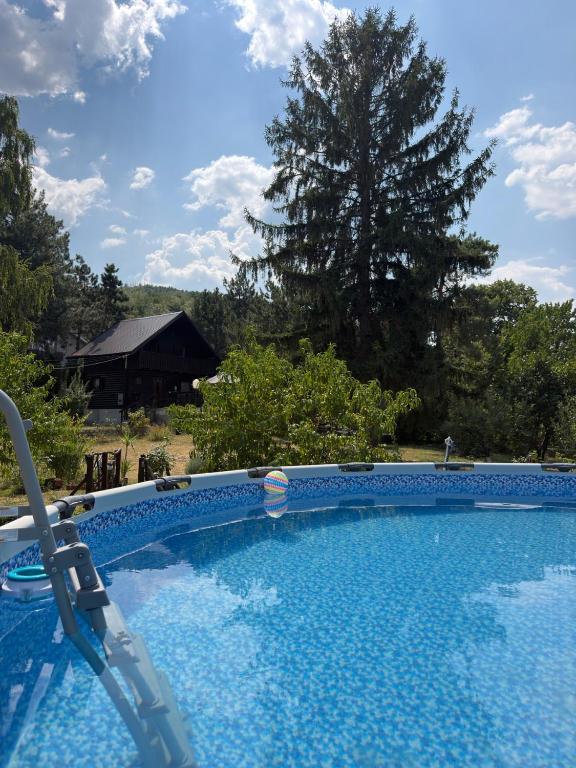 a large blue swimming pool in a yard at Dedinski Raj in Golubac