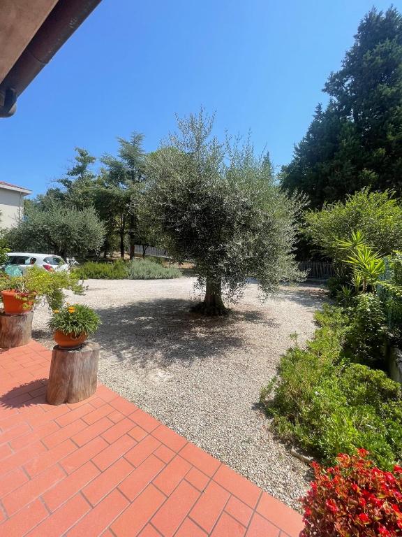 a garden with a tree in the middle of a yard at La Corte delle Marche in Osimo