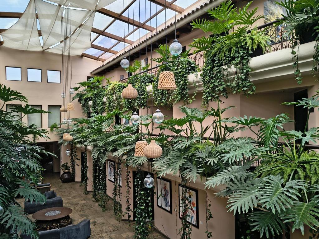 a room filled with lots of plants and lights at Casa del Alma Hotel Boutique & Spa in San Cristóbal de Las Casas