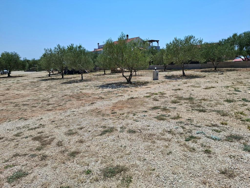 a field with trees and a building in the background at Camp Oblica - parcela - empty plot in Pirovac