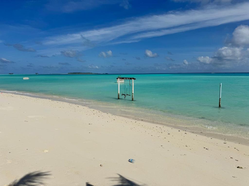 a beach with a pier in the middle of the water at Whalesharkview in Maamigili