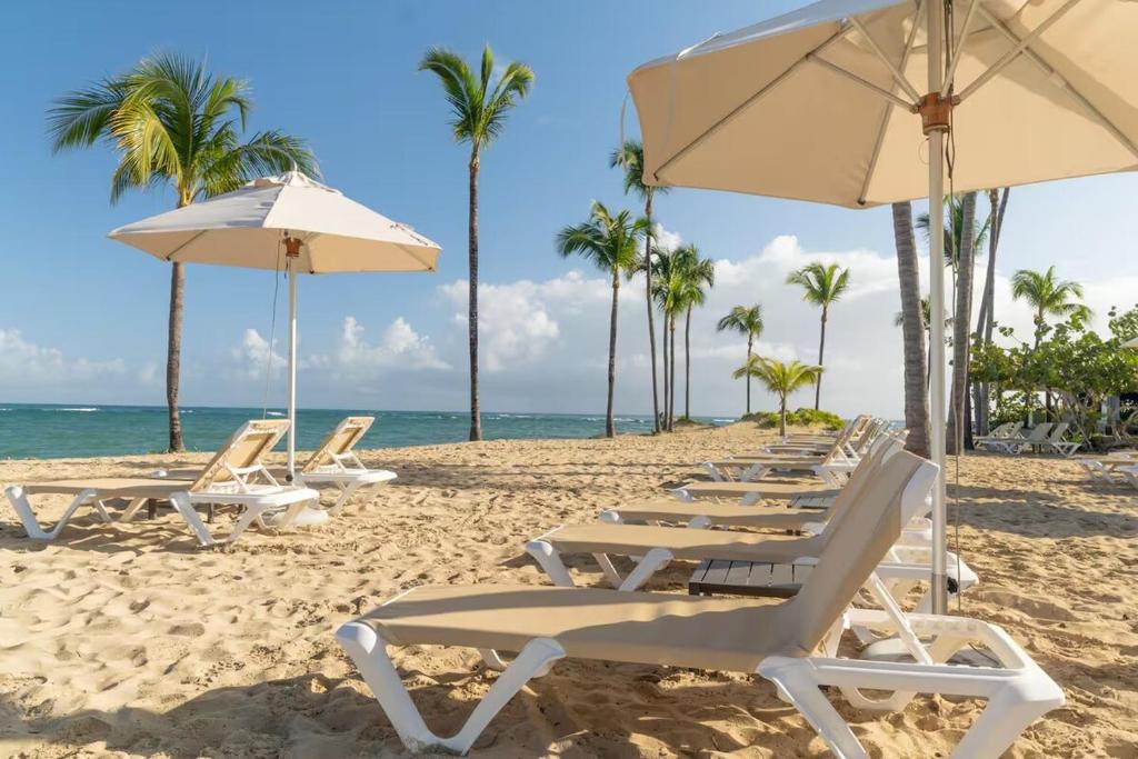 a row of lounge chairs and umbrellas on a beach at Blue Coast Condo in Puerto Plata
