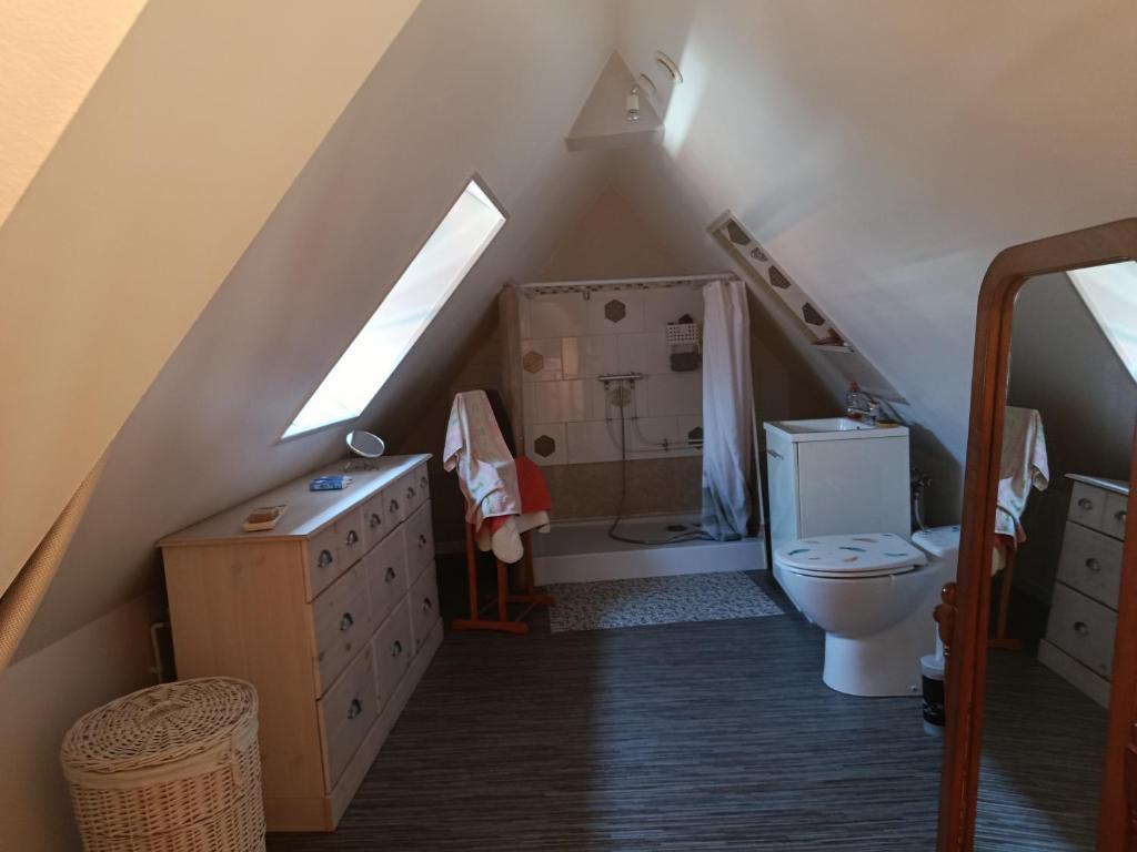 a attic bathroom with a toilet and a sink at Chez Annick in Escoeuilles