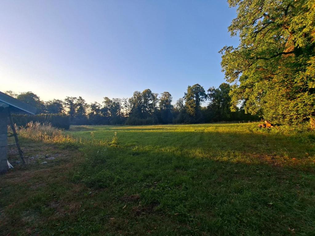a field of grass with trees in the background at Gîtes proche lac de chalain in Montigny-sur-lʼAin