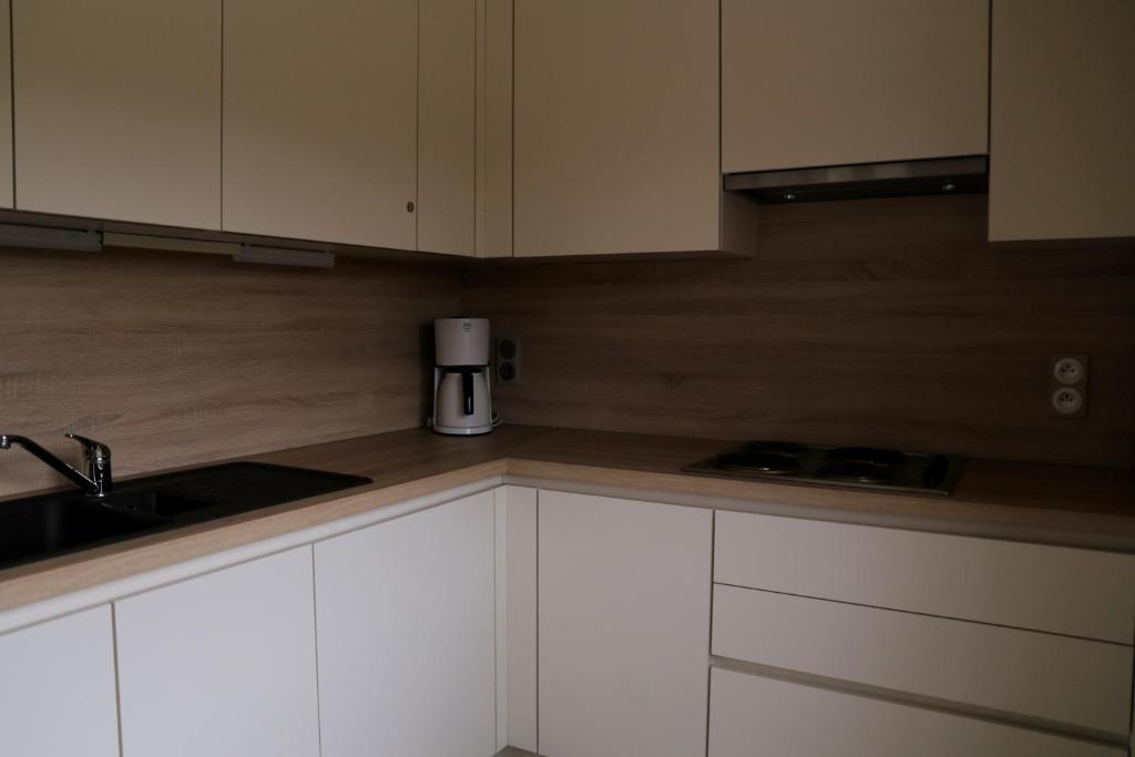 Kuchyň nebo kuchyňský kout v ubytování Apartment Cuypers