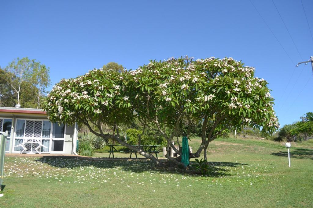 Zahrada ubytování Ocean View Motel Bowen