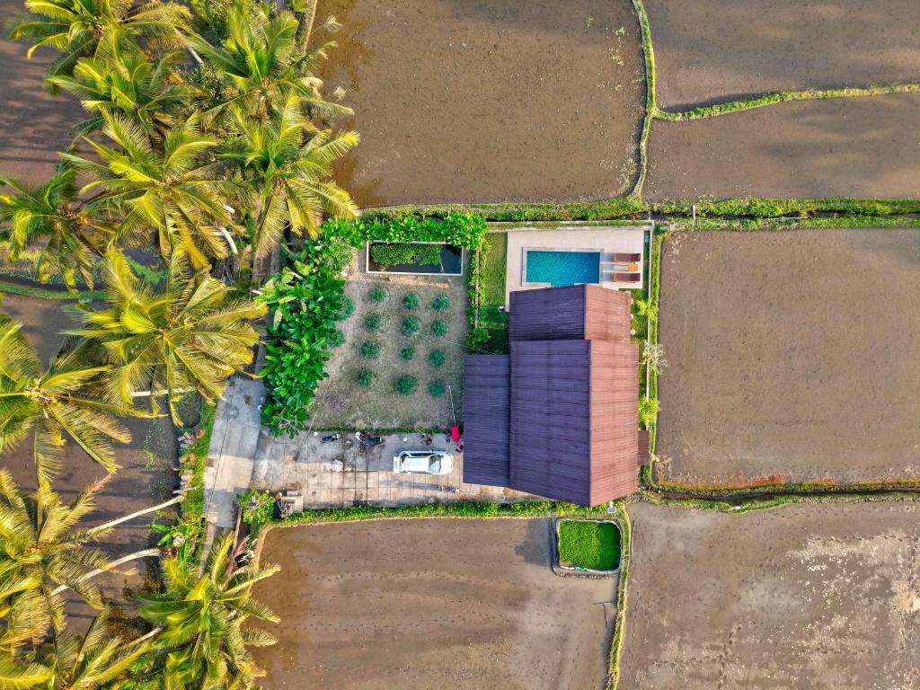 an aerial view of a house with palm trees at Nandikara Villa in Payangan